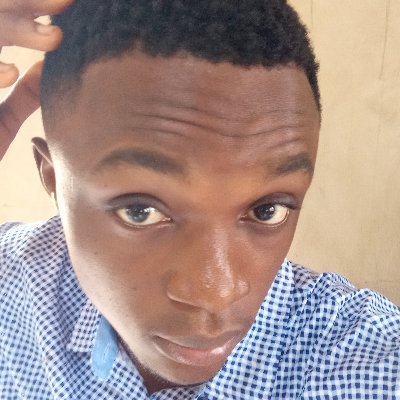 mosco361's profile picture. building thrombotraceai , ai  that can perform platelets count 

computer vision, machine learning