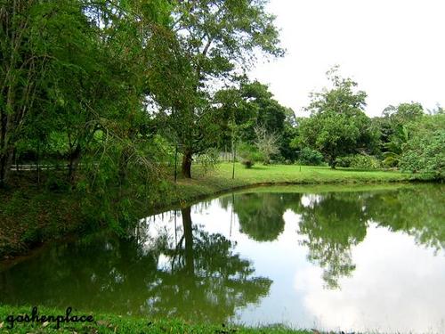 thegoshenfarm's profile picture. we are closed for all bookings, rantals, daytrips, farmstays until further notice :)