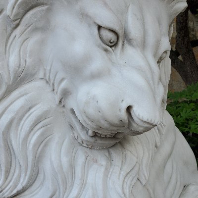 choose_love_o_e's profile picture. anchoring light frequencies & exploring multidimensional realms. eternal student of mysteries.💫💕🌱