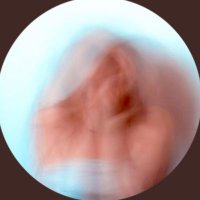 Samantha (@visualswithsam) 's Twitter Profile