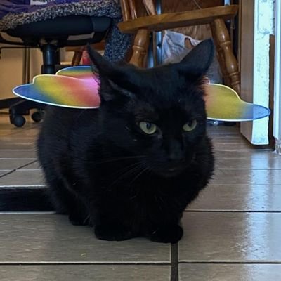 emmirose_pond's profile picture. level: 30+ , nerdy and not so dirty. Graphic designer/ MUA/Artist/Polyamorous non-binary Pansexual weeb. Waifu 💍🐻🐧