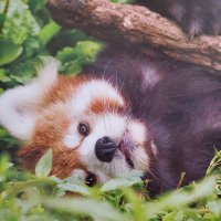 miNe (@mine3100830) 's Twitter Profile
