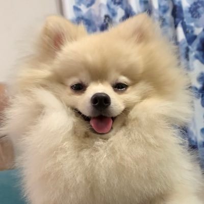 小豆*☻さんのプロフィール画像