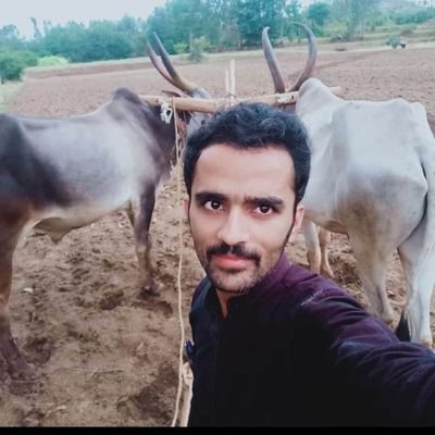 Gajendr91004936's profile picture. kolar (ಕೋಲಾರ)