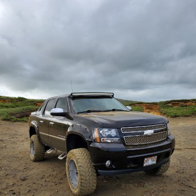 Martin A Krieger Profile