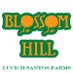 Blossom Hill (@blossomhillcots) Twitter profile photo Blossom Hill (@blossomhillcots) Twitter profile photo