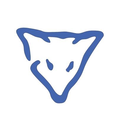 The most unique and high quality Leicester City pin badges! Limited Edition only! 🦊💙