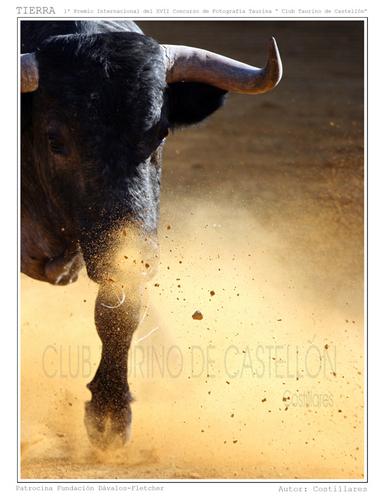 Extremeño. Aficionado a los Toros, a la Fotografía y a mover la pieza que no es. De profesión Arquitecto. Damnificado de la Apropiación Indebida del Atleti.