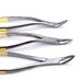 Colon Surgical Co. (@colon_surgical) Twitter profile photo Colon Surgical Co. (@colon_surgical) Twitter profile photo