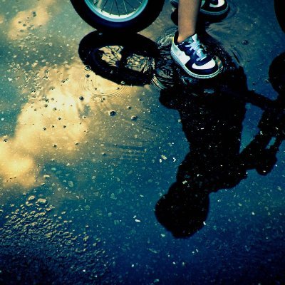 SyaoranLeo's profile picture. 