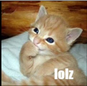 TheFollowBackTM's profile picture. FOLLOW ME I FOLLOW EVERYONE BACK!!!