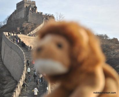 DemtriCat's profile picture. OMGOMGOMG I'm on twitter