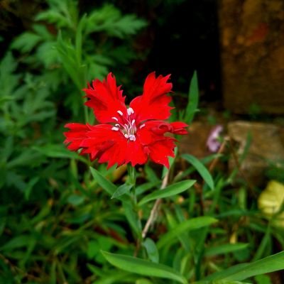 majhi2majhi8's profile picture. 