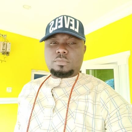 BakoOyibo's profile picture. A social critics and a political analyst