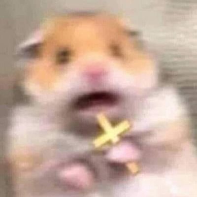 lesterojenar's profile picture. 