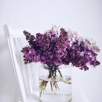 د.أفنان ابراهيم السليم Dr.Alsaleem Afnan (@afnan4067) 's Twitter Profile Photo د.أفنان ابراهيم السليم Dr.Alsaleem Afnan (@afnan4067) 's Twitter Profile Photo