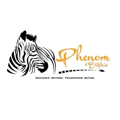 PhenomSafaris's profile picture. Your one stop travel solution.✈️🛳️🗽🏖️🧳🗺️🗾
Discover beyond. transform within.
Travel agency