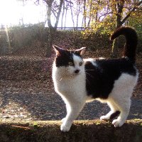 Panurge (@panurge371) 's Twitter Profile