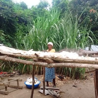 ApcjfdA's profile picture. plateforme APCJFD ONGD coopérative agricoles RDC Kinshasa, province de kwango territoire de kasongo lunda.
coordonnateur général