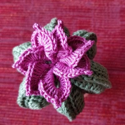 Bendex2's profile picture. Tel Aviv-Yafo