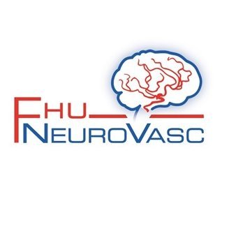 La FHU NeuroVasc réunit des expertises médicales et scientifiques pour améliorer la prise en charge des maladies neurovasculaires en stimulant l'innovation.
