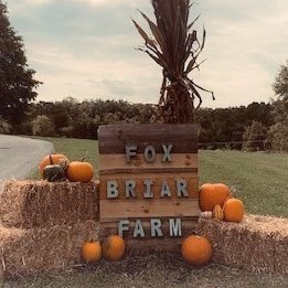 Small farm and business located in The Smoky Mountains of East Tennessee.