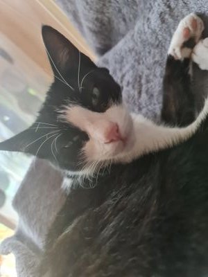 srknass's profile picture. 