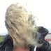 Mrs D (@book_peruser) Twitter profile photo Mrs D (@book_peruser) Twitter profile photo