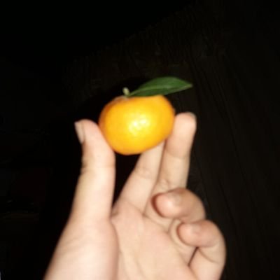 msword0612's profile picture. 