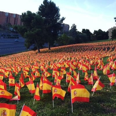 marimar1805's profile picture. Quien mira hacia afuera sueña. 
Quien mira hacia adentro despierta.