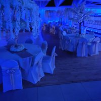🌹Tudor Rose Venue🌹 (@tudorrosevenue) 's Twitter Profile