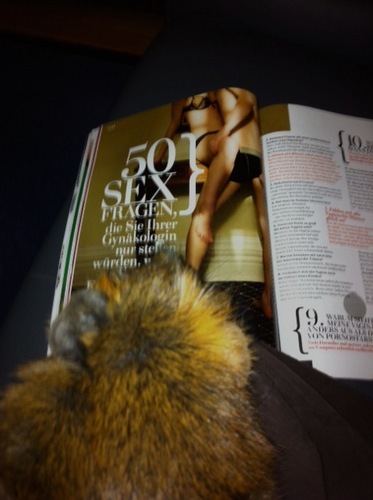 BroThaFlow's profile picture. Born to be Wild ! Muiiig