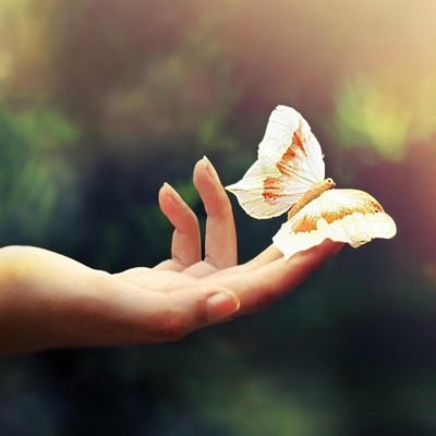 Krishnarkr's profile picture. 📖 புத்தகம், 🌳 காடுகள் ,🌴இயற்கை, ✒️பாலகுமாரன்...