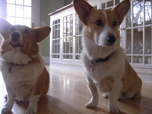 LindenhillsRE's profile picture. 