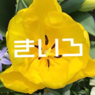 きいろ Kiiro9 9 Twitter きいろ Kiiro9 9 Twitter
