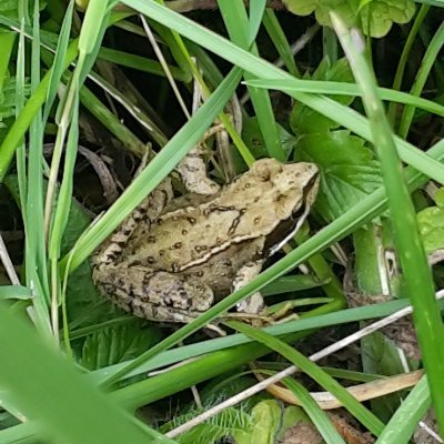 Matincalme9's profile picture. 