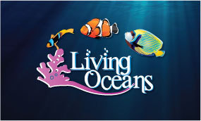 We are a Marine Pet Store with a passion for quality service, We stock large ranges of hardware,livestock