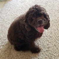 Liz Strand (@lizstrand) 's Twitter Profile