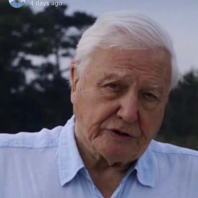 David Attenborough PARODY