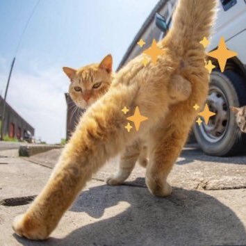 UiemGov's profile picture. 