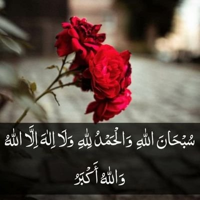 MaryamEhtisham's profile picture. housewife