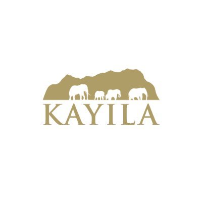 Sprawled along the banks of the Zambezi River, Kayila is an elegant and intimate safari camp offering access to an abundant African wilderness.