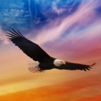 Zegylō 🇺🇸 MAGA Constitutional Deplorable 🍊🇺🇸 (@zegylovues) 's Twitter Profile