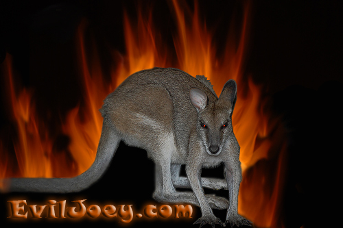 iamEviljoey's profile picture. 