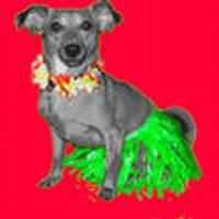 Amy Mengarelli (@amy_mengarelli) 's Twitter Profile Photo Amy Mengarelli (@amy_mengarelli) 's Twitter Profile Photo