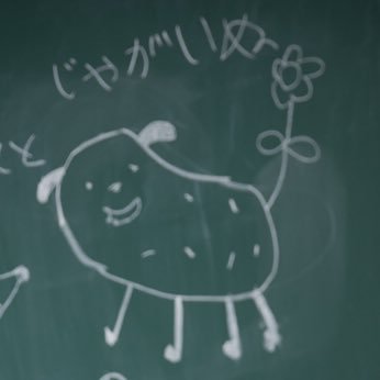 hipo_runoleo's profile picture. 