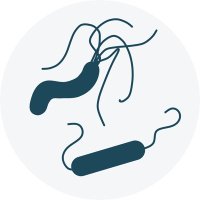 Sharma Lab (@sharmalab1) 's Twitter Profile Photo Sharma Lab (@sharmalab1) 's Twitter Profile Photo