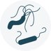 Sharma Lab (@sharmalab1) Twitter profile photo Sharma Lab (@sharmalab1) Twitter profile photo