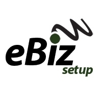 eBizSetup | Offering Free Video Training for Internet Sales, Creators of the eBiz Fast Cash program, Partners with the Makers of Income Infusion!