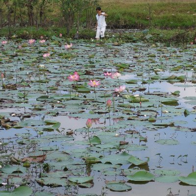 tawarayakaneii's profile picture. 子育てのこと、勉強のことなどの情報収集と日々の雑感などを記録しています。長男中3次男小6です。

ASD/感覚過敏/2E/不登校/起立性調節障害